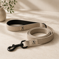 Leash